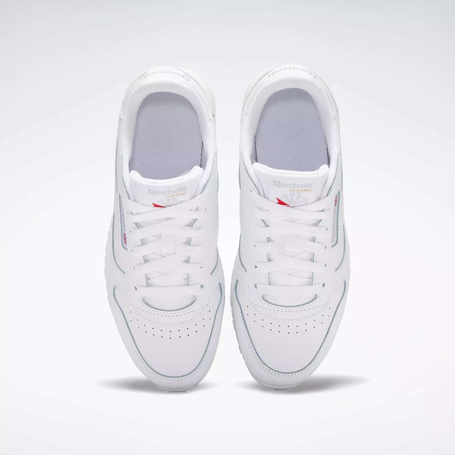 Reebok Kids Classic Leather Shoes (Big Kids)