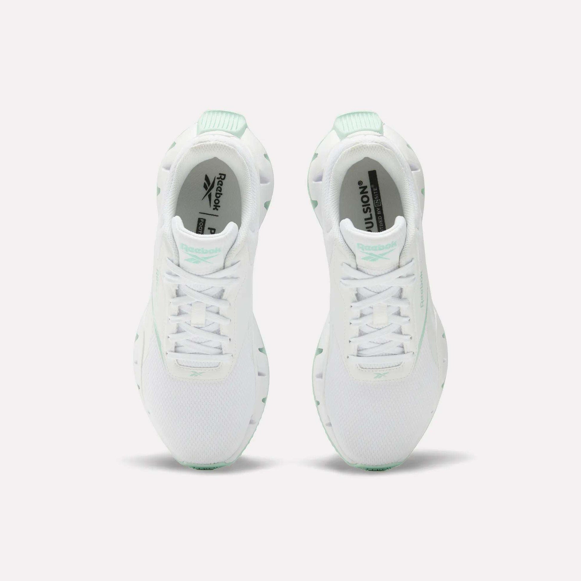 Reebok Women Zig Dynamica STR Shoes