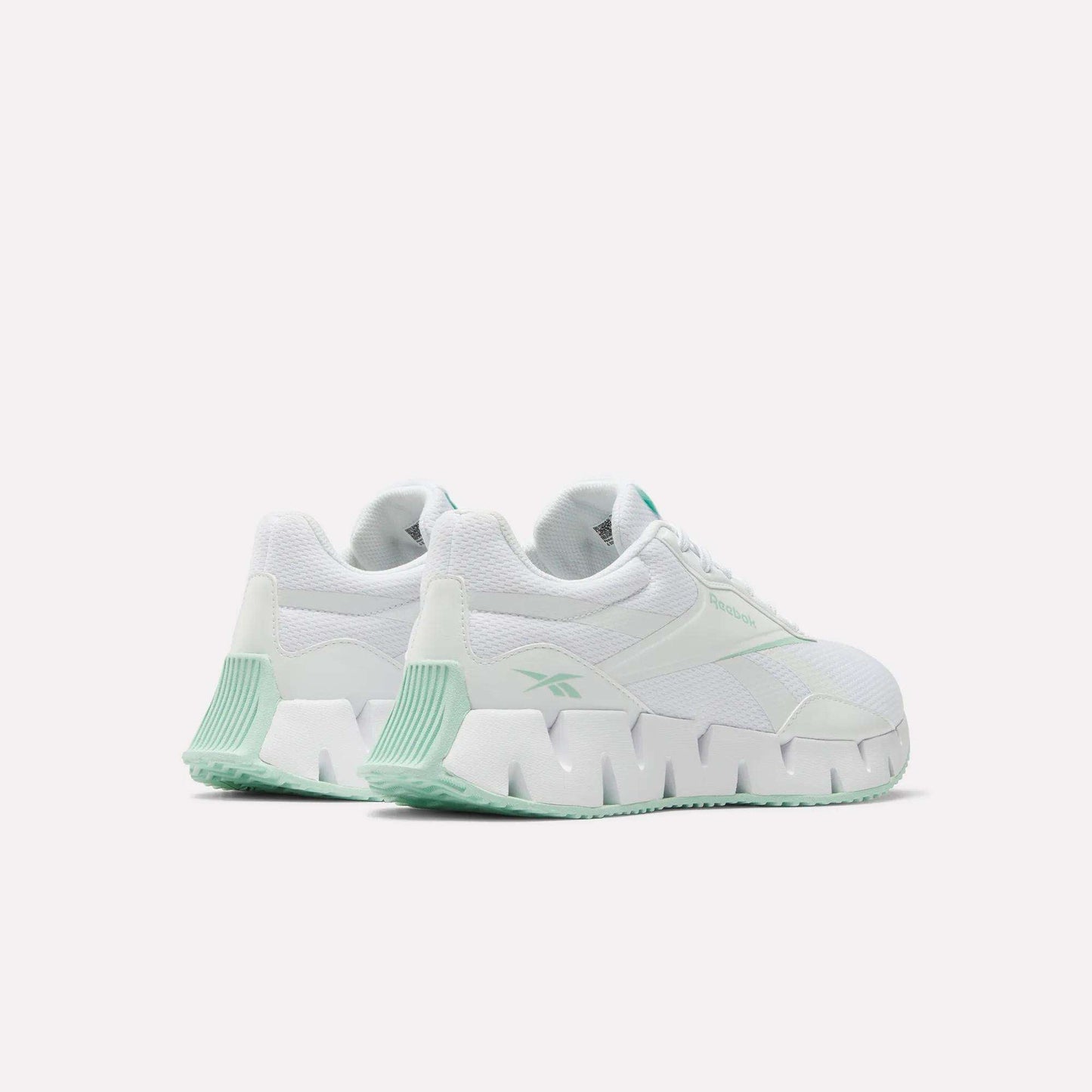 Reebok Women Zig Dynamica STR Shoes