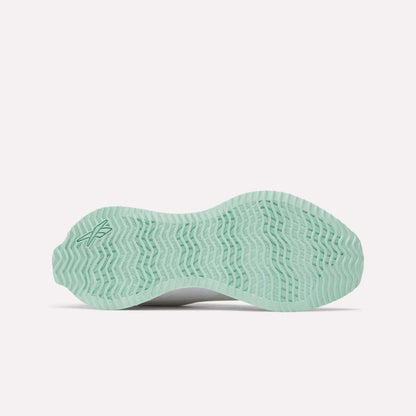 Reebok Women Zig Dynamica STR Shoes