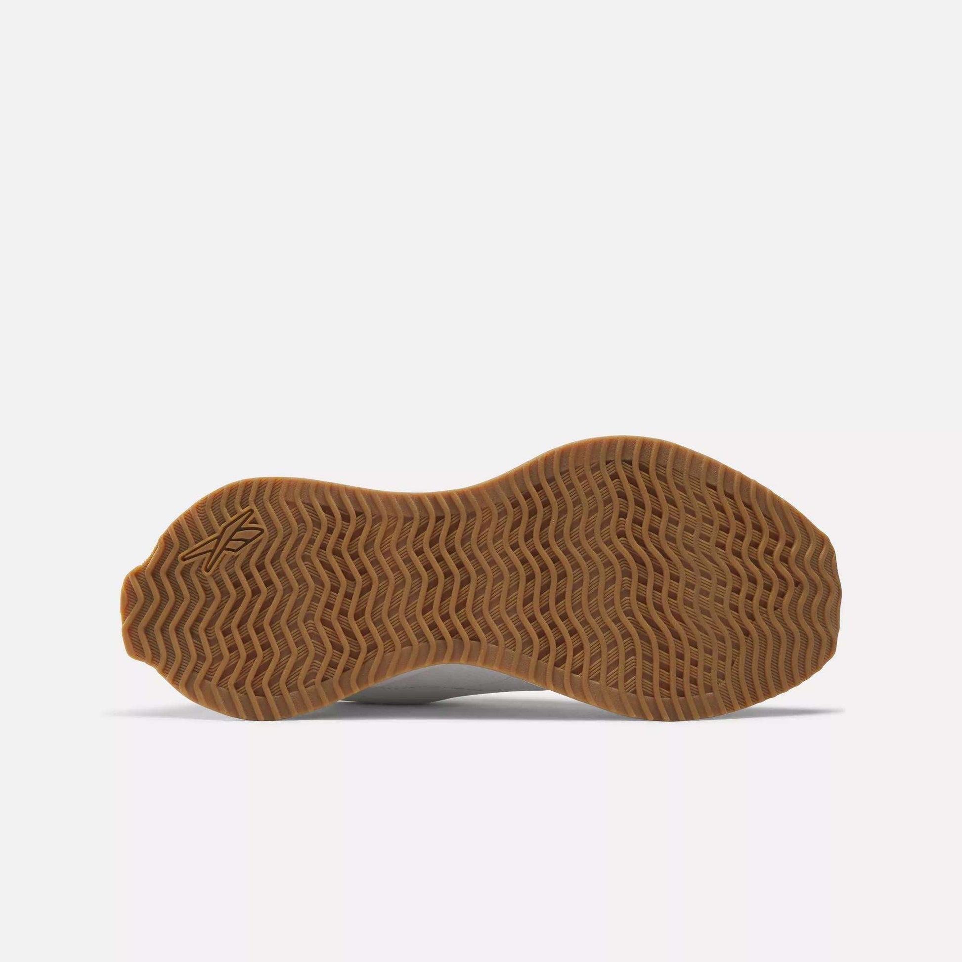Reebok Women Zig Dynamica STR Shoes