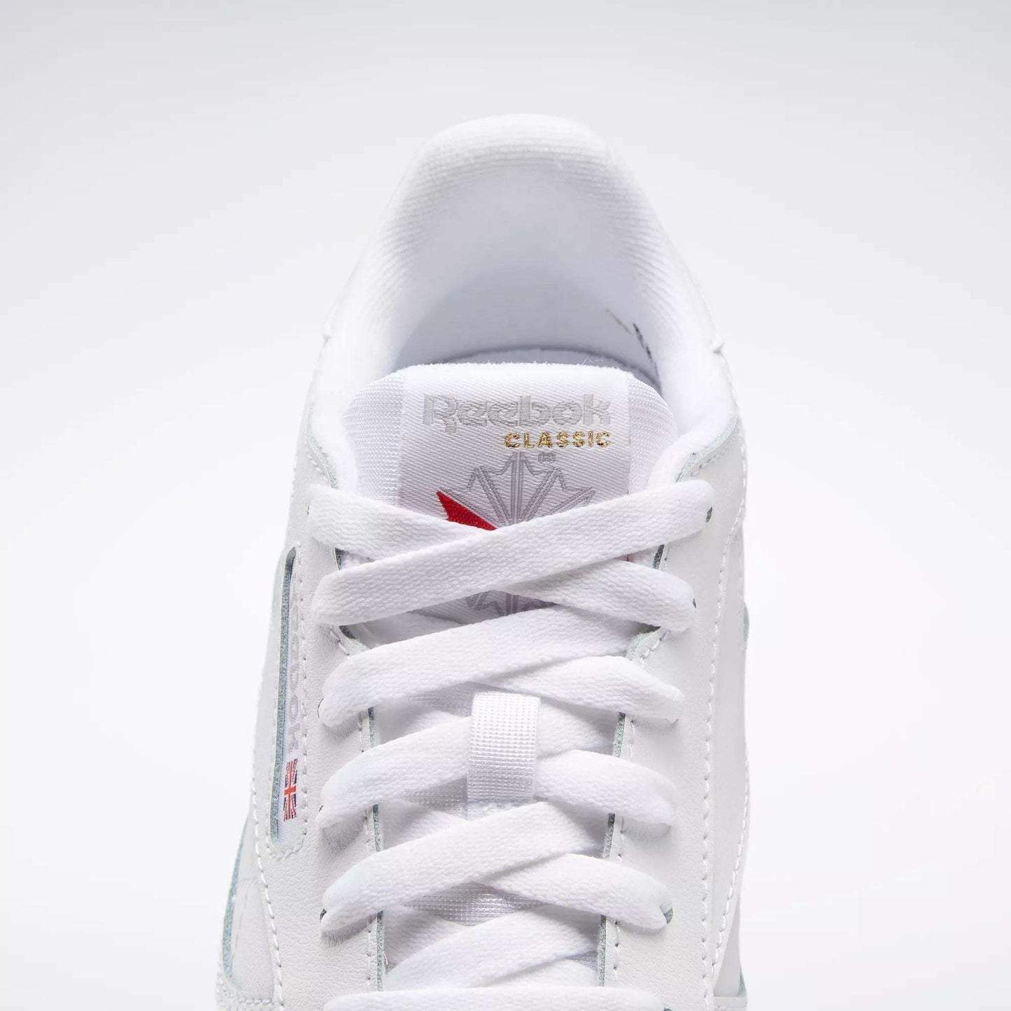 Reebok Classics Classic Leather Shoes (Big Kids)