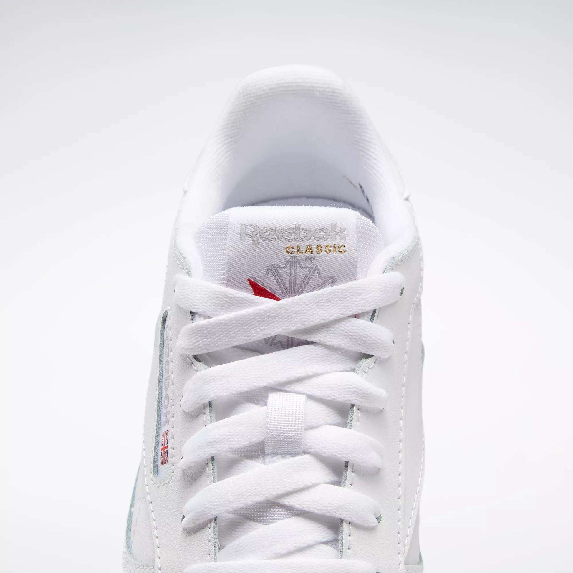 Reebok Classics Classic Leather Shoes (Big Kids)