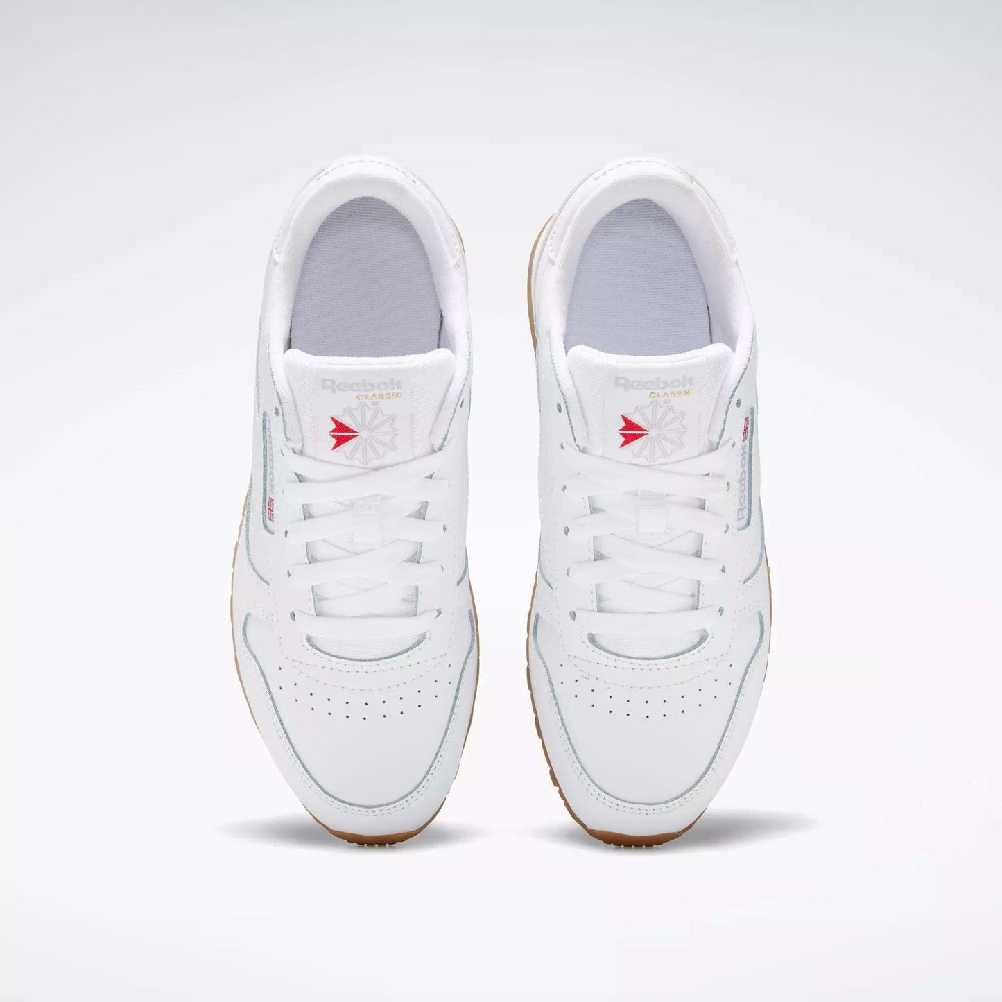 Reebok Classics Classic Leather Shoes (Big Kids)