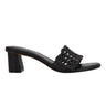 Jazmine Dress Slide Sandal - Black Raffia